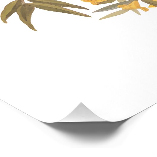 Audubon Mockingbird Family vs Snake Poster (Ecke)