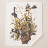 Audubon Mockingbird Family vs Snake Sherpadecke (Vorderseite)