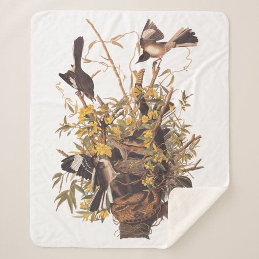 Audubon Mockingbird Family vs Snake Sherpadecke (Vorderseite)