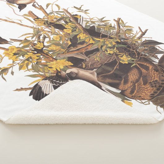 Audubon Mockingbird Family vs Snake Sherpadecke (3/4)