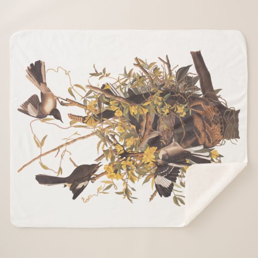 Audubon Mockingbird Family vs Snake Sherpadecke (Vorderseite (Horizontal))