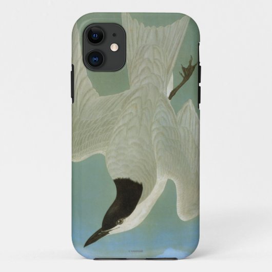 Audubon: Möve-Berechnete Seeschwalbe Case-Mate iPhone Hülle (Rückseite)