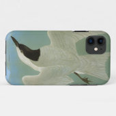 Audubon: Möve-Berechnete Seeschwalbe Case-Mate iPhone Hülle (Rückseite (Horizontal))