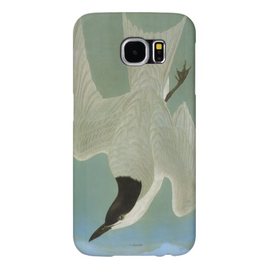 Audubon: Möve-Berechnete Seeschwalbe Case-Mate Samsung Galaxy Hülle (Rückseite)