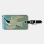 Audubon: Möve-Berechnete Seeschwalbe Gepäckanhänger (Vorderseite horizontal)