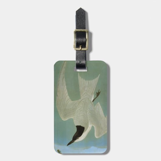 Audubon: Möve-Berechnete Seeschwalbe Gepäckanhänger (Vorderseite vertikal)