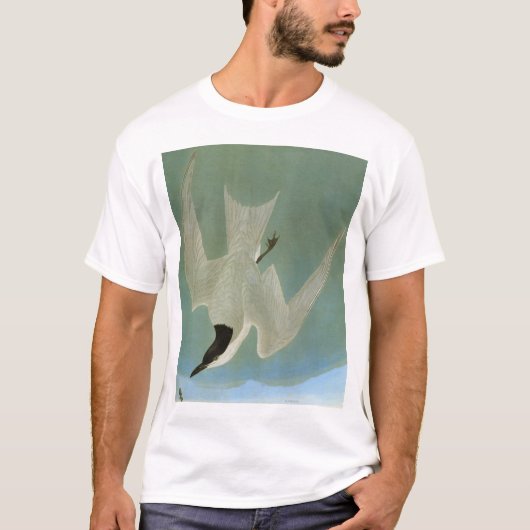Audubon: Möve-Berechnete Seeschwalbe T-Shirt (Vorderseite)