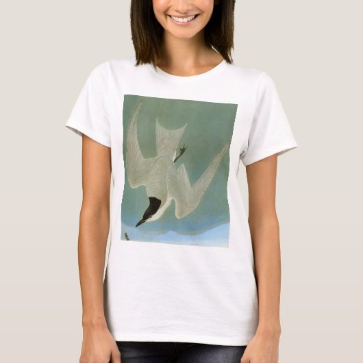 Audubon: Möve-Berechnete Seeschwalbe T-Shirt (Vorderseite)