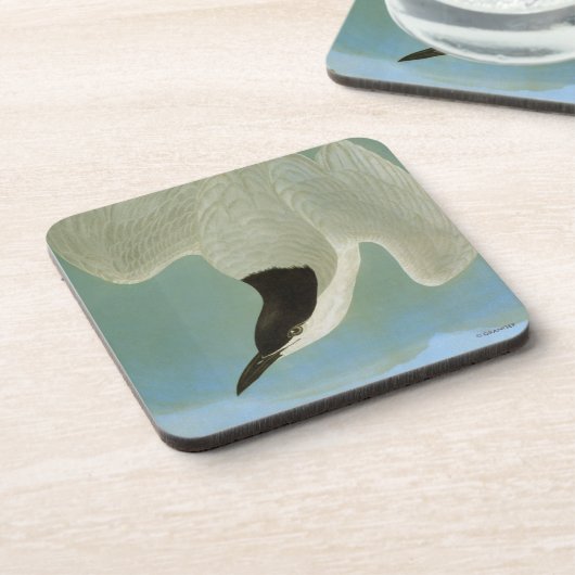 Audubon: Möve-Berechnete Seeschwalbe Untersetzer (Linke Seite)