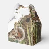 Audubon Nest Wren Birds Wildlife Favor Box Geschenkschachtel (Vorderseite)