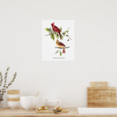 Audubon Nordkardinal Poster (Küche)