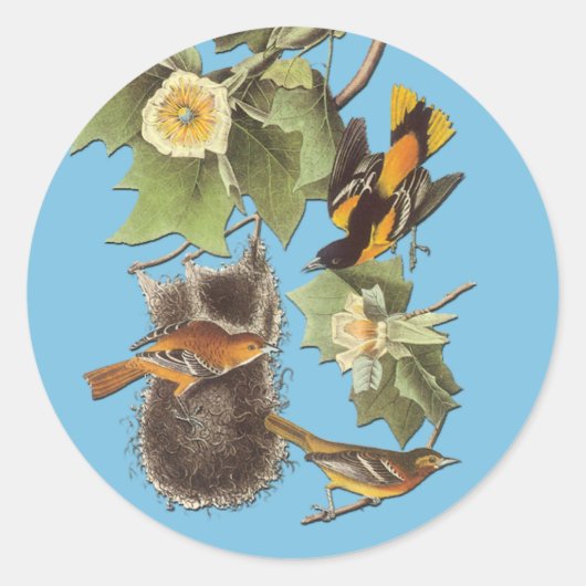 Audubon Northern Oriole Bird Art Stickers (Vorderseite)