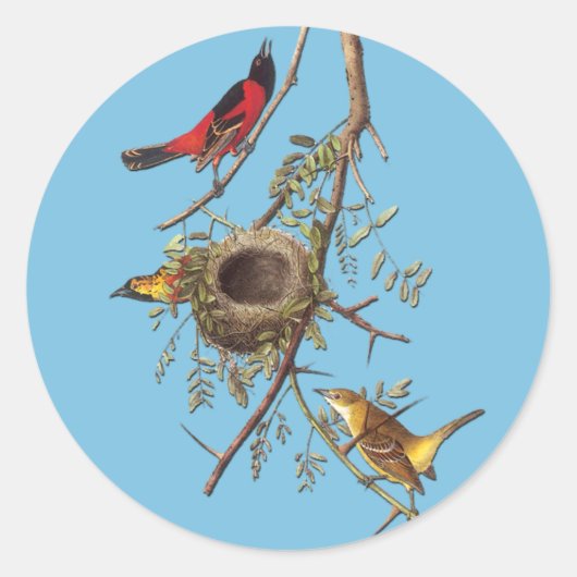 Audubon Orchard Oriole Bird Art Stickers (Vorderseite)