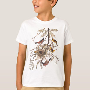 Audubon Orchard Oriole Bird in Honey Locust Tree T-Shirt