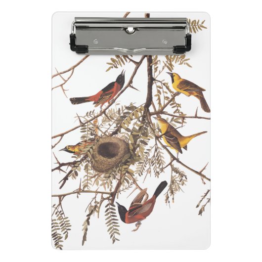 Audubon Orchard Oriole Birds Nesting in Tree Mini Klemmbrett (Vorderseite)