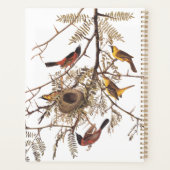 Audubon Orchard Oriole Birds Nesting in Tree Planer (Rückseite)