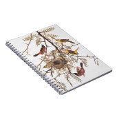 Audubon Orchard Oriole in Honey Locust Notizblock (Rechte Seite)