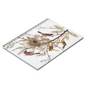 Audubon Orchard Oriole in Honey Locust Notizblock (Linke Seite)