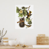 Audubon Oriole Poster (Küche)