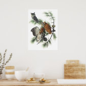 Audubon Owls Poster (Küche)
