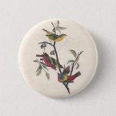 Audubon Painted Bunting Bird Wildlife Button (Vorderseite)