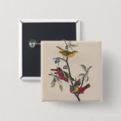 Audubon Painted Bunting Bird Wildlife Button (Vorne & Hinten)