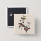 Audubon Painted Bunting Bird Wildlife Button (Vorne & Hinten)