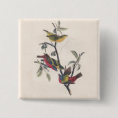 Audubon Painted Bunting Bird Wildlife Button (Vorderseite)
