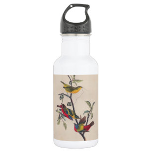 Audubon Painted Bunting Bird Wildlife Edelstahlflasche