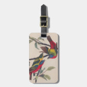 Audubon Painted Bunting Bird Wildlife Gepäckanhänger (Vorderseite vertikal)