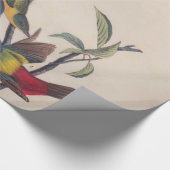 Audubon Painted Bunting Bird Wildlife Geschenkpapier (Ecke)