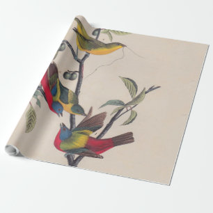 Audubon Painted Bunting Bird Wildlife Geschenkpapier