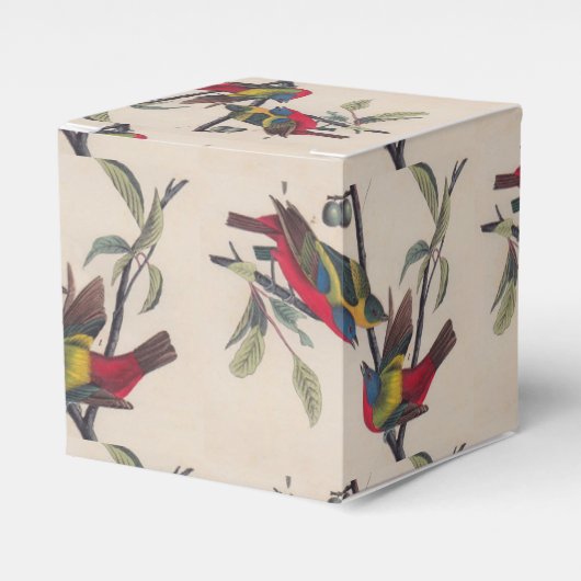 Audubon Painted Bunting Bird Wildlife Geschenkschachtel (Vorderseite)