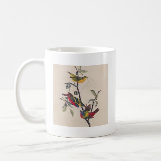 Audubon Painted Bunting Bird Wildlife Kaffeetasse (Links)