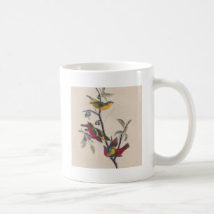 Audubon Painted Bunting Bird Wildlife Kaffeetasse