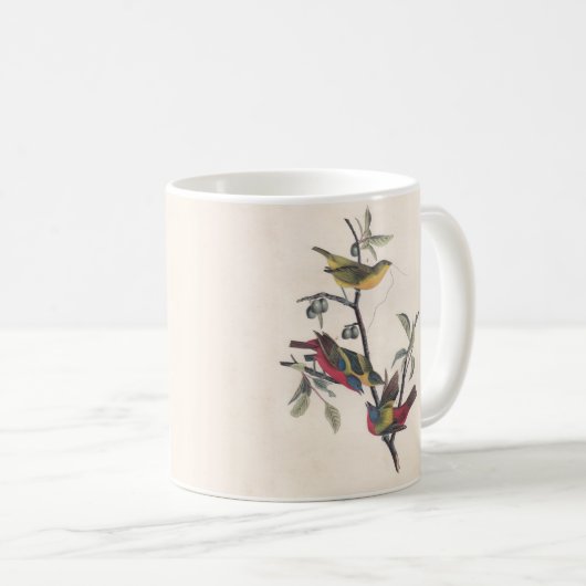 Audubon Painted Bunting Bird Wildlife Kaffeetasse (VorderseiteRechts)