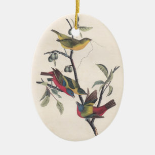 Audubon Painted Bunting Bird Wildlife Keramikornament