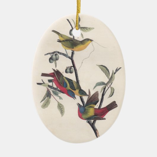 Audubon Painted Bunting Bird Wildlife Keramikornament (Vorne)