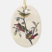 Audubon Painted Bunting Bird Wildlife Keramikornament (Hinten)