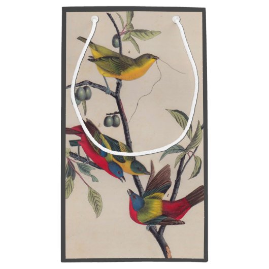 Audubon Painted Bunting Bird Wildlife Kleine Geschenktüte (Rückseite)