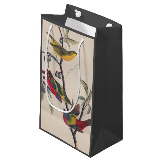 Audubon Painted Bunting Bird Wildlife Kleine Geschenktüte (Vorderseite Schrägansicht)
