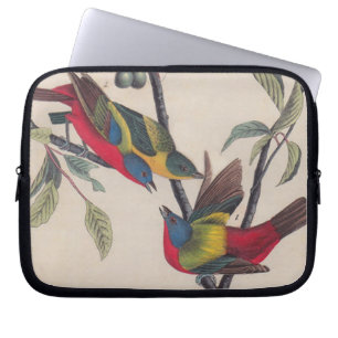 Audubon Painted Bunting Bird Wildlife Laptopschutzhülle