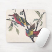 Audubon Painted Bunting Bird Wildlife Mousepad (Mit Mouse)