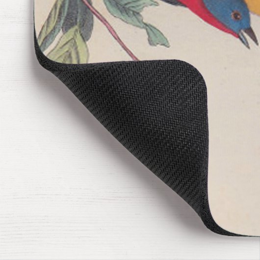 Audubon Painted Bunting Bird Wildlife Mousepad (Ecke)