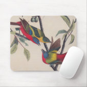 Audubon Painted Bunting Bird Wildlife Mousepad (Mit Mouse)