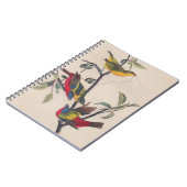 Audubon Painted Bunting Bird Wildlife Notizblock (Linke Seite)