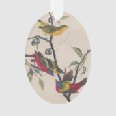 Audubon Painted Bunting Bird Wildlife Ornament (Vorderseite)
