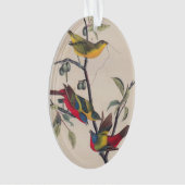 Audubon Painted Bunting Bird Wildlife Ornament (Vorderseite)