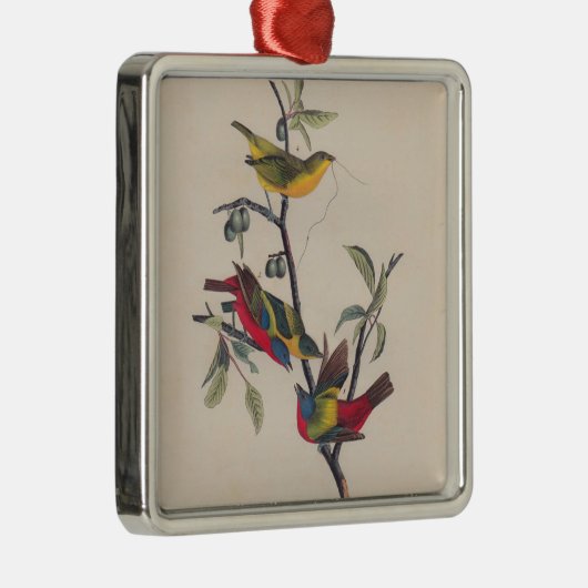 Audubon Painted Bunting Bird Wildlife Ornament Aus Metall (Rechts)