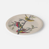 Audubon Painted Bunting Bird Wildlife Pappteller (Schrägansicht)